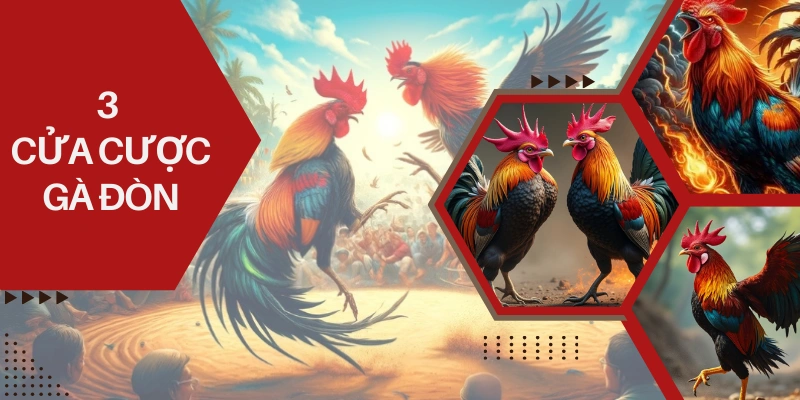 Có 3 cửa cược phổ biến trong một kèo đá gà đòn