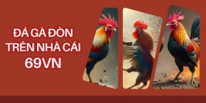 Đá gà đòn