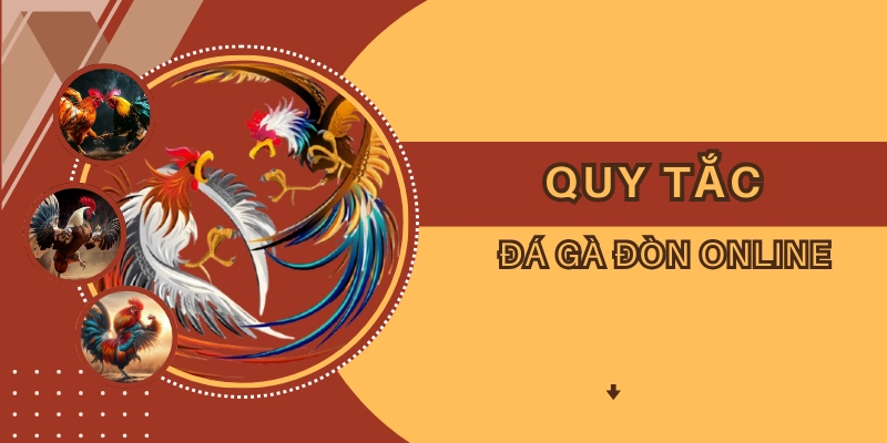 Các quy tắc cơ bản mà hội viên cần nắm khi chơi chọi kê đòn